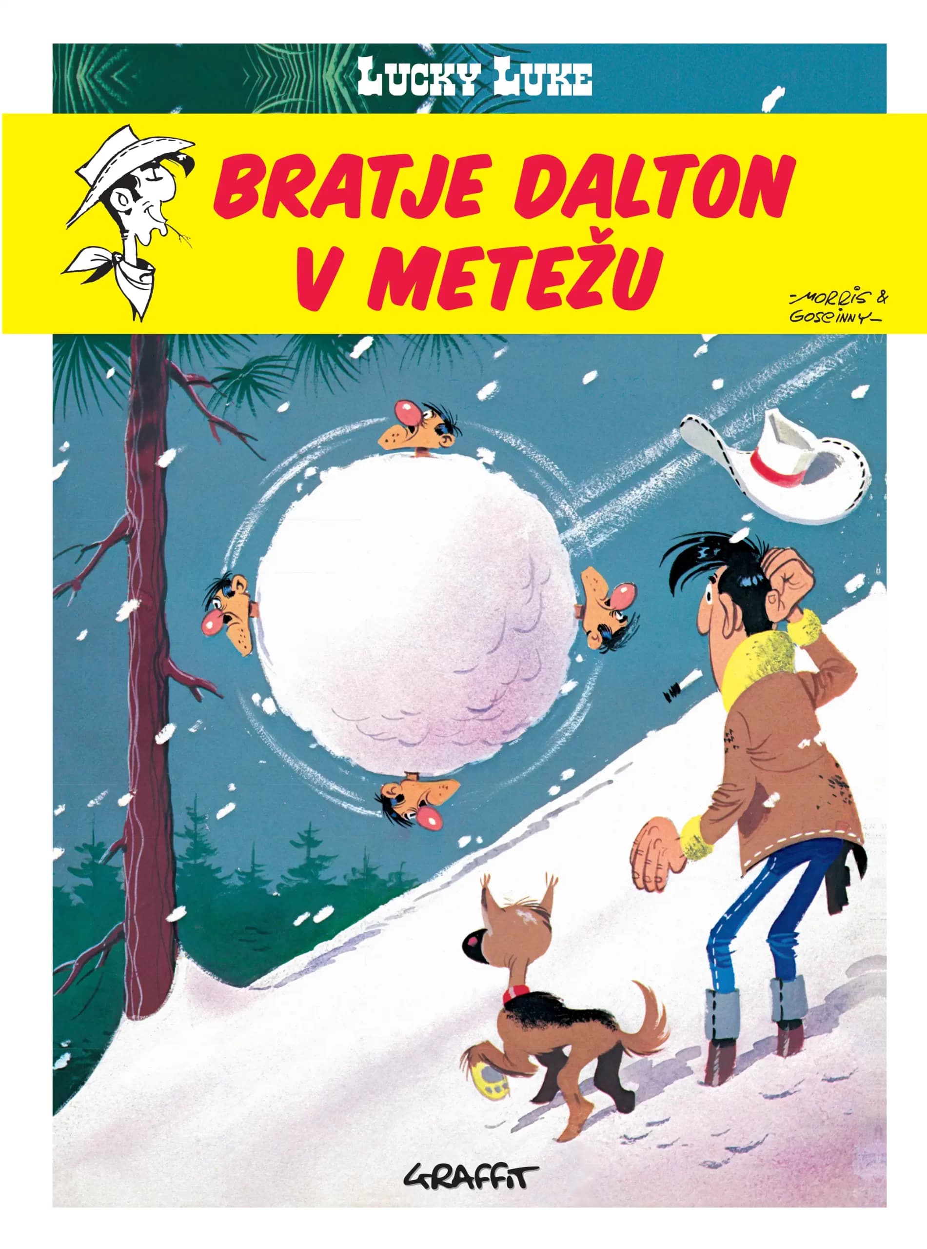 BRATJE DALTON V METEŽU